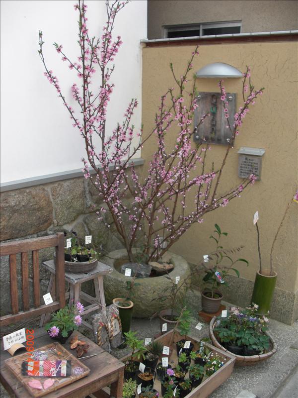 2009.04千年古都賞櫻,2009千年古都賞櫻,DAY4銀閣寺,倫敦,哲學之道,國外旅遊,土耳其,大阪,宜蘭,居酒屋,捷克,旅遊,早午餐,板橋,法國,美食,自由行 @跟著Julie一起走吧 2009.04千年古都賞櫻,2009千年古都賞櫻,DAY4銀閣寺,倫敦,哲學之道,國外旅遊,土耳其,大阪,宜蘭,居酒屋,捷克,旅遊,早午餐,板橋,法國,美食,自由行 @跟著Julie一起走吧