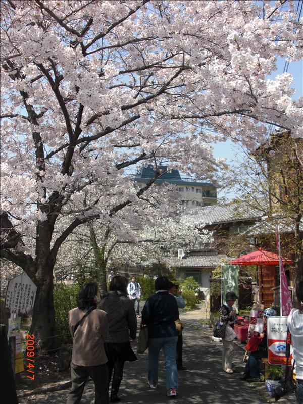2009.04千年古都賞櫻,2009千年古都賞櫻,DAY4銀閣寺,倫敦,哲學之道,國外旅遊,土耳其,大阪,宜蘭,居酒屋,捷克,旅遊,早午餐,板橋,法國,美食,自由行 @跟著Julie一起走吧 2009.04千年古都賞櫻,2009千年古都賞櫻,DAY4銀閣寺,倫敦,哲學之道,國外旅遊,土耳其,大阪,宜蘭,居酒屋,捷克,旅遊,早午餐,板橋,法國,美食,自由行 @跟著Julie一起走吧