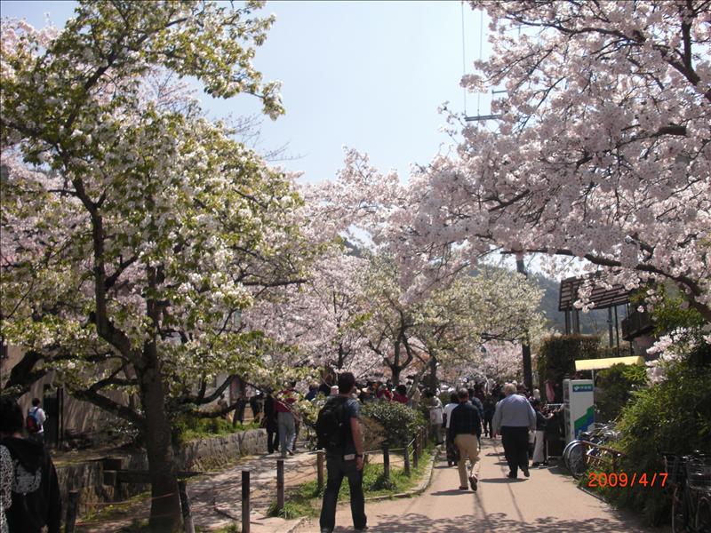 2009.04千年古都賞櫻,2009千年古都賞櫻,DAY4銀閣寺,倫敦,哲學之道,國外旅遊,土耳其,大阪,宜蘭,居酒屋,捷克,旅遊,早午餐,板橋,法國,美食,自由行 @跟著Julie一起走吧 2009.04千年古都賞櫻,2009千年古都賞櫻,DAY4銀閣寺,倫敦,哲學之道,國外旅遊,土耳其,大阪,宜蘭,居酒屋,捷克,旅遊,早午餐,板橋,法國,美食,自由行 @跟著Julie一起走吧