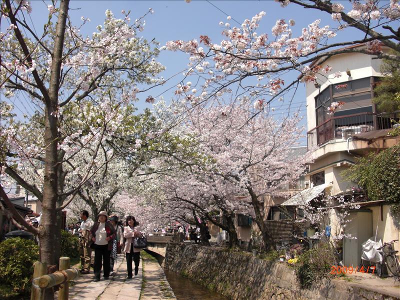 2009.04千年古都賞櫻,2009千年古都賞櫻,DAY4銀閣寺,倫敦,哲學之道,國外旅遊,土耳其,大阪,宜蘭,居酒屋,捷克,旅遊,早午餐,板橋,法國,美食,自由行 @跟著Julie一起走吧 2009.04千年古都賞櫻,2009千年古都賞櫻,DAY4銀閣寺,倫敦,哲學之道,國外旅遊,土耳其,大阪,宜蘭,居酒屋,捷克,旅遊,早午餐,板橋,法國,美食,自由行 @跟著Julie一起走吧