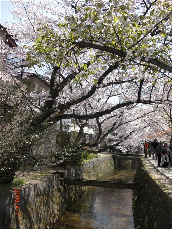 2009.04千年古都賞櫻,2009千年古都賞櫻,DAY4銀閣寺,倫敦,哲學之道,國外旅遊,土耳其,大阪,宜蘭,居酒屋,捷克,旅遊,早午餐,板橋,法國,美食,自由行 @跟著Julie一起走吧 2009.04千年古都賞櫻,2009千年古都賞櫻,DAY4銀閣寺,倫敦,哲學之道,國外旅遊,土耳其,大阪,宜蘭,居酒屋,捷克,旅遊,早午餐,板橋,法國,美食,自由行 @跟著Julie一起走吧