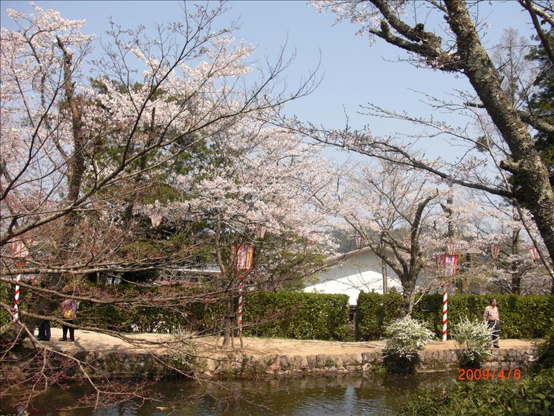 2009.04千年古都賞櫻,2009千年古都賞櫻,DAY3打吹公園+鶴山公園,倫敦,國外旅遊,土耳其,大阪,宜蘭,居酒屋,打吹公園,捷克,旅遊,早午餐,板橋,法國,美食,自由行 @跟著Julie一起走吧 2009.04千年古都賞櫻,2009千年古都賞櫻,DAY3打吹公園+鶴山公園,倫敦,國外旅遊,土耳其,大阪,宜蘭,居酒屋,打吹公園,捷克,旅遊,早午餐,板橋,法國,美食,自由行 @跟著Julie一起走吧