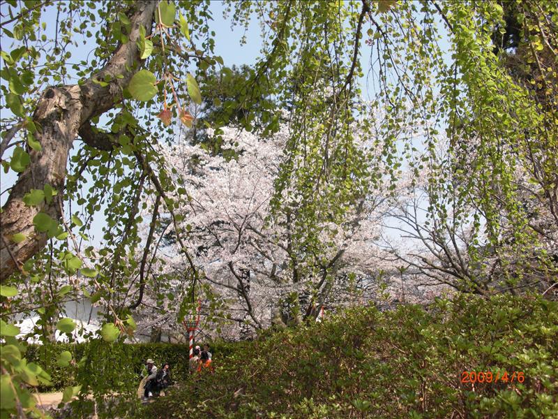 2009.04千年古都賞櫻,2009千年古都賞櫻,DAY3打吹公園+鶴山公園,倫敦,國外旅遊,土耳其,大阪,宜蘭,居酒屋,打吹公園,捷克,旅遊,早午餐,板橋,法國,美食,自由行 @跟著Julie一起走吧 2009.04千年古都賞櫻,2009千年古都賞櫻,DAY3打吹公園+鶴山公園,倫敦,國外旅遊,土耳其,大阪,宜蘭,居酒屋,打吹公園,捷克,旅遊,早午餐,板橋,法國,美食,自由行 @跟著Julie一起走吧