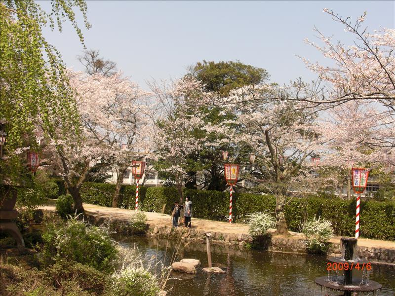2009.04千年古都賞櫻,2009千年古都賞櫻,DAY3打吹公園+鶴山公園,倫敦,國外旅遊,土耳其,大阪,宜蘭,居酒屋,打吹公園,捷克,旅遊,早午餐,板橋,法國,美食,自由行 @跟著Julie一起走吧 2009.04千年古都賞櫻,2009千年古都賞櫻,DAY3打吹公園+鶴山公園,倫敦,國外旅遊,土耳其,大阪,宜蘭,居酒屋,打吹公園,捷克,旅遊,早午餐,板橋,法國,美食,自由行 @跟著Julie一起走吧
