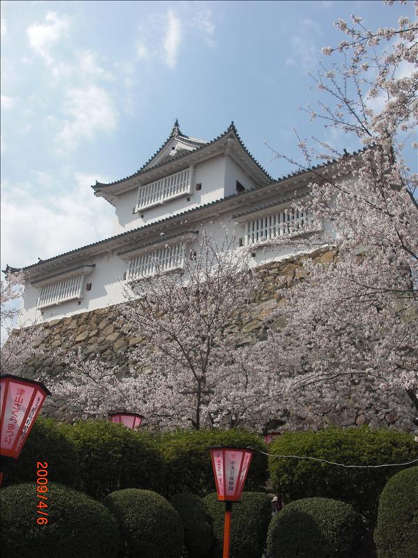 2009.04千年古都賞櫻,2009千年古都賞櫻,DAY3打吹公園+鶴山公園,倫敦,國外旅遊,土耳其,大阪,宜蘭,居酒屋,打吹公園,捷克,旅遊,早午餐,板橋,法國,美食,自由行 @跟著Julie一起走吧 2009.04千年古都賞櫻,2009千年古都賞櫻,DAY3打吹公園+鶴山公園,倫敦,國外旅遊,土耳其,大阪,宜蘭,居酒屋,打吹公園,捷克,旅遊,早午餐,板橋,法國,美食,自由行 @跟著Julie一起走吧