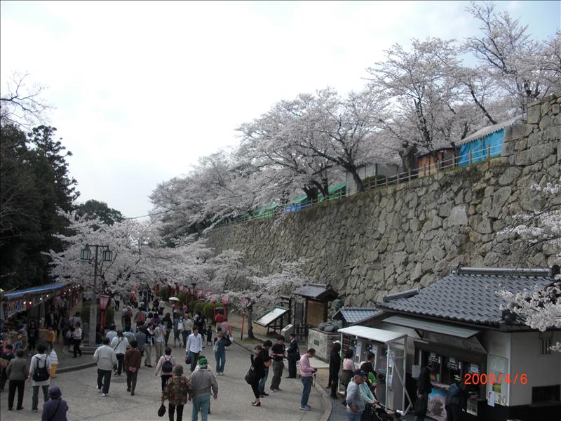 2009.04千年古都賞櫻,2009千年古都賞櫻,DAY3打吹公園+鶴山公園,倫敦,國外旅遊,土耳其,大阪,宜蘭,居酒屋,打吹公園,捷克,旅遊,早午餐,板橋,法國,美食,自由行 @跟著Julie一起走吧 2009.04千年古都賞櫻,2009千年古都賞櫻,DAY3打吹公園+鶴山公園,倫敦,國外旅遊,土耳其,大阪,宜蘭,居酒屋,打吹公園,捷克,旅遊,早午餐,板橋,法國,美食,自由行 @跟著Julie一起走吧