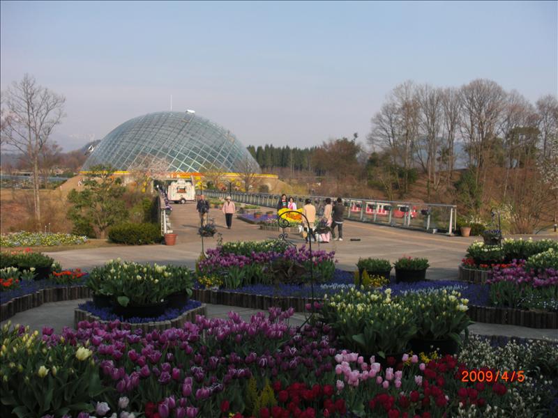 2009.04千年古都賞櫻,2009千年古都賞櫻,DAY2穴道湖附近用午餐,倫敦,國外旅遊,土耳其,大阪,宜蘭,居酒屋,捷克,旅遊,早午餐,板橋,法國,美食,自由行,鳥取花迴廊 @跟著Julie一起走吧 2009.04千年古都賞櫻,2009千年古都賞櫻,DAY2穴道湖附近用午餐,倫敦,國外旅遊,土耳其,大阪,宜蘭,居酒屋,捷克,旅遊,早午餐,板橋,法國,美食,自由行,鳥取花迴廊 @跟著Julie一起走吧