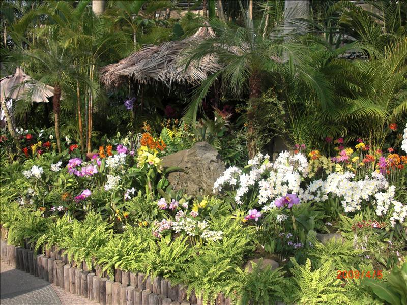 2009.04千年古都賞櫻,2009千年古都賞櫻,DAY2穴道湖附近用午餐,倫敦,國外旅遊,土耳其,大阪,宜蘭,居酒屋,捷克,旅遊,早午餐,板橋,法國,美食,自由行,鳥取花迴廊 @跟著Julie一起走吧 2009.04千年古都賞櫻,2009千年古都賞櫻,DAY2穴道湖附近用午餐,倫敦,國外旅遊,土耳其,大阪,宜蘭,居酒屋,捷克,旅遊,早午餐,板橋,法國,美食,自由行,鳥取花迴廊 @跟著Julie一起走吧