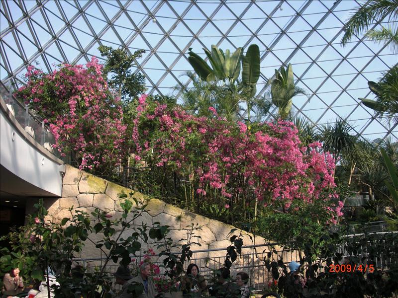 2009.04千年古都賞櫻,2009千年古都賞櫻,DAY2穴道湖附近用午餐,倫敦,國外旅遊,土耳其,大阪,宜蘭,居酒屋,捷克,旅遊,早午餐,板橋,法國,美食,自由行,鳥取花迴廊 @跟著Julie一起走吧 2009.04千年古都賞櫻,2009千年古都賞櫻,DAY2穴道湖附近用午餐,倫敦,國外旅遊,土耳其,大阪,宜蘭,居酒屋,捷克,旅遊,早午餐,板橋,法國,美食,自由行,鳥取花迴廊 @跟著Julie一起走吧