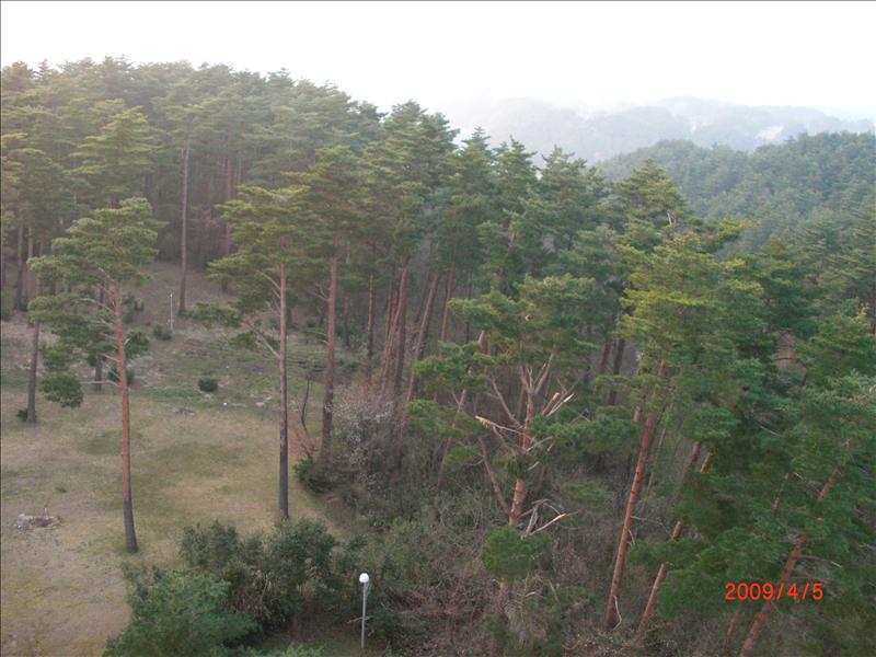 2009.04千年古都賞櫻,2009千年古都賞櫻,DAY2穴道湖附近用午餐,倫敦,國外旅遊,土耳其,大阪,宜蘭,居酒屋,捷克,旅遊,早午餐,板橋,法國,美食,自由行,鳥取花迴廊 @跟著Julie一起走吧 2009.04千年古都賞櫻,2009千年古都賞櫻,DAY2穴道湖附近用午餐,倫敦,國外旅遊,土耳其,大阪,宜蘭,居酒屋,捷克,旅遊,早午餐,板橋,法國,美食,自由行,鳥取花迴廊 @跟著Julie一起走吧