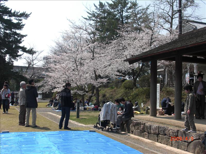 2009.04千年古都賞櫻,2009千年古都賞櫻,DAY2松江城賞櫻,倫敦,國外旅遊,土耳其,大阪,宜蘭,居酒屋,捷克,旅遊,早午餐,松江城 櫻花,板橋,法國,游堀江,美食,自由行,護城河 @跟著Julie一起走吧 2009.04千年古都賞櫻,2009千年古都賞櫻,DAY2松江城賞櫻,倫敦,國外旅遊,土耳其,大阪,宜蘭,居酒屋,捷克,旅遊,早午餐,松江城 櫻花,板橋,法國,游堀江,美食,自由行,護城河 @跟著Julie一起走吧