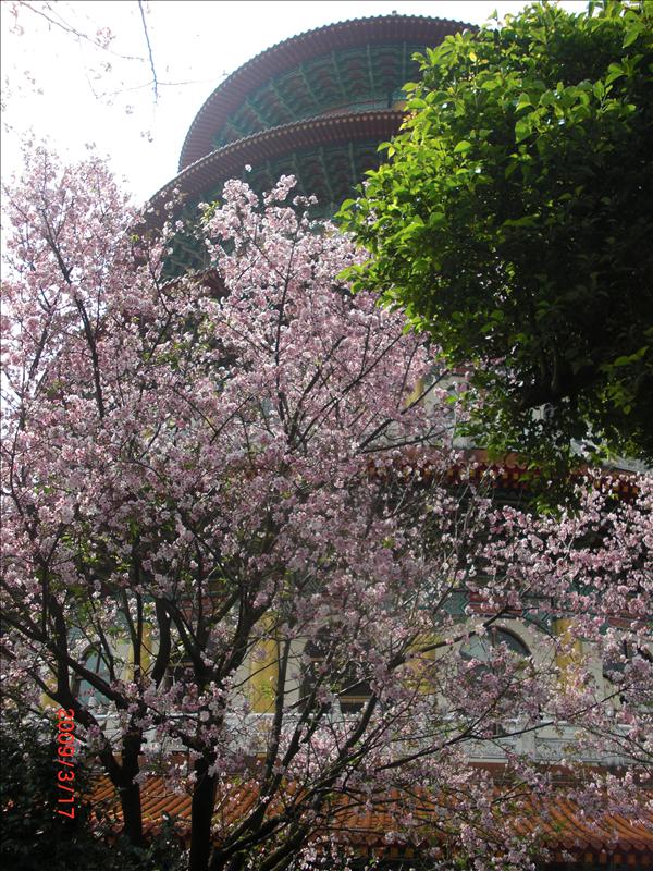 倫敦,北部,國外旅遊,土耳其,大阪,宜蘭,居酒屋,捷克,旅遊,早午餐,板橋,法國,美食,自由行,賞櫻去吧 @跟著Julie一起走吧 倫敦,北部,國外旅遊,土耳其,大阪,宜蘭,居酒屋,捷克,旅遊,早午餐,板橋,法國,美食,自由行,賞櫻去吧 @跟著Julie一起走吧