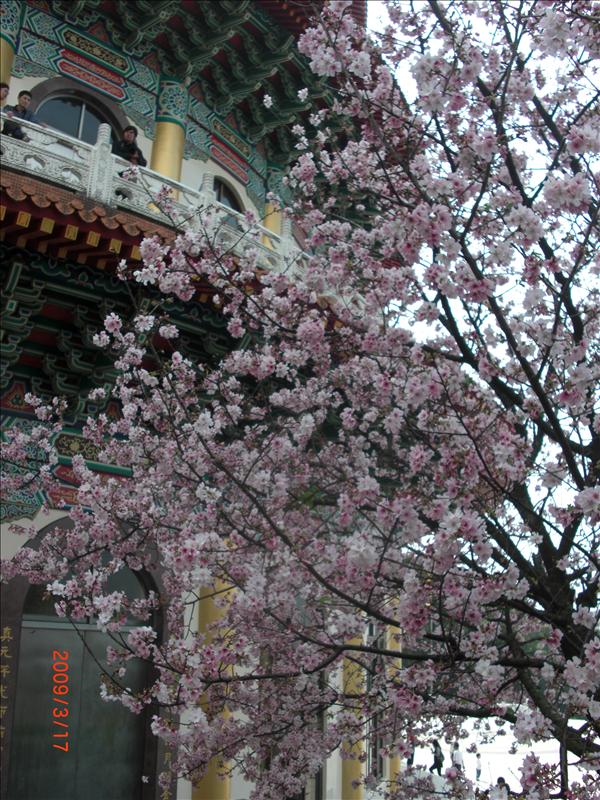 倫敦,北部,國外旅遊,土耳其,大阪,宜蘭,居酒屋,捷克,旅遊,早午餐,板橋,法國,美食,自由行,賞櫻去吧 @跟著Julie一起走吧 倫敦,北部,國外旅遊,土耳其,大阪,宜蘭,居酒屋,捷克,旅遊,早午餐,板橋,法國,美食,自由行,賞櫻去吧 @跟著Julie一起走吧