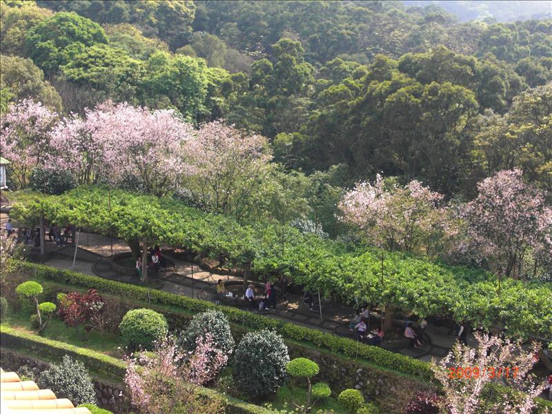 倫敦,北部,國外旅遊,土耳其,大阪,宜蘭,居酒屋,捷克,旅遊,早午餐,板橋,法國,美食,自由行,賞櫻去吧 @跟著Julie一起走吧 倫敦,北部,國外旅遊,土耳其,大阪,宜蘭,居酒屋,捷克,旅遊,早午餐,板橋,法國,美食,自由行,賞櫻去吧 @跟著Julie一起走吧