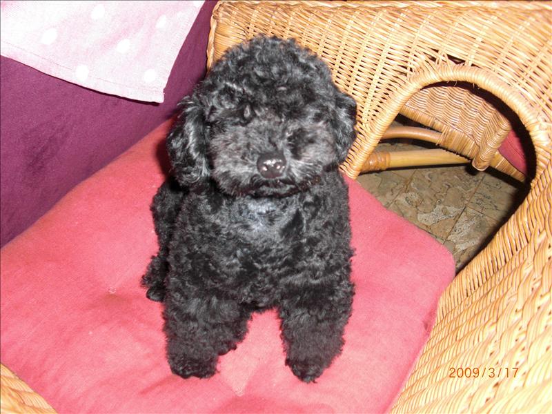 倫敦,北部,國外旅遊,土耳其,大阪,宜蘭,居酒屋,捷克,旅遊,早午餐,板橋,法國,美食,自由行,賞櫻去吧 @跟著Julie一起走吧 倫敦,北部,國外旅遊,土耳其,大阪,宜蘭,居酒屋,捷克,旅遊,早午餐,板橋,法國,美食,自由行,賞櫻去吧 @跟著Julie一起走吧