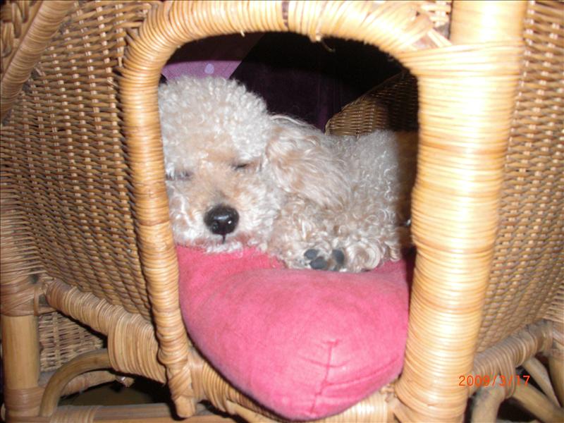 倫敦,北部,國外旅遊,土耳其,大阪,宜蘭,居酒屋,捷克,旅遊,早午餐,板橋,法國,美食,自由行,賞櫻去吧 @跟著Julie一起走吧 倫敦,北部,國外旅遊,土耳其,大阪,宜蘭,居酒屋,捷克,旅遊,早午餐,板橋,法國,美食,自由行,賞櫻去吧 @跟著Julie一起走吧