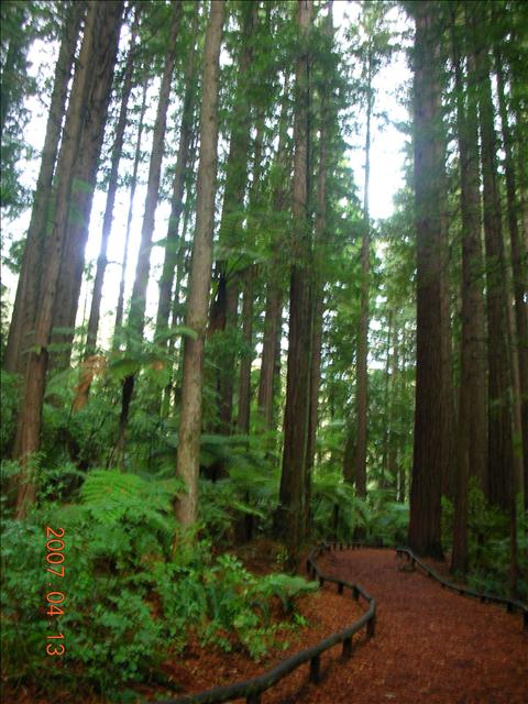 2007紐西蘭,2007紐西蘭南北島,Bye,倫敦,北島Bye,國外旅遊,土耳其,大阪,宜蘭,居酒屋,往南島去,捷克,旅遊,早午餐,板橋,法國,美食,自由行 @跟著Julie一起走吧 2007紐西蘭,2007紐西蘭南北島,Bye,倫敦,北島Bye,國外旅遊,土耳其,大阪,宜蘭,居酒屋,往南島去,捷克,旅遊,早午餐,板橋,法國,美食,自由行 @跟著Julie一起走吧
