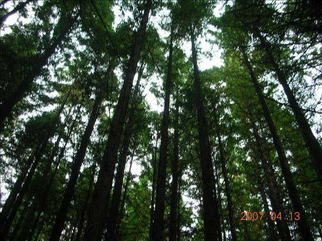 2007紐西蘭,2007紐西蘭南北島,Bye,倫敦,北島Bye,國外旅遊,土耳其,大阪,宜蘭,居酒屋,往南島去,捷克,旅遊,早午餐,板橋,法國,美食,自由行 @跟著Julie一起走吧 2007紐西蘭,2007紐西蘭南北島,Bye,倫敦,北島Bye,國外旅遊,土耳其,大阪,宜蘭,居酒屋,往南島去,捷克,旅遊,早午餐,板橋,法國,美食,自由行 @跟著Julie一起走吧