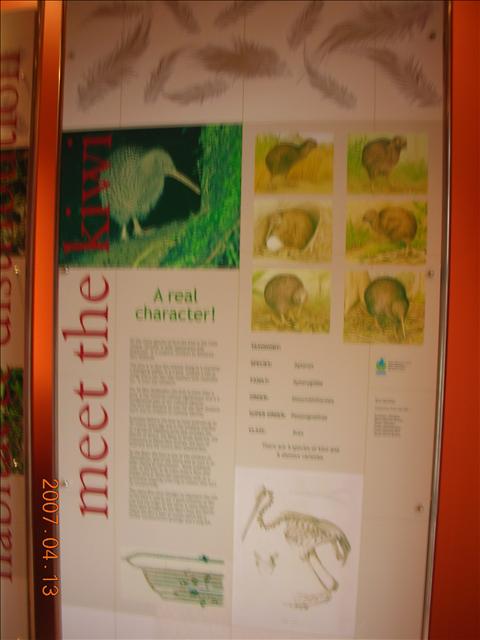 2007紐西蘭,2007紐西蘭南北島,Bye,倫敦,北島Bye,國外旅遊,土耳其,大阪,宜蘭,居酒屋,往南島去,捷克,旅遊,早午餐,板橋,法國,美食,自由行 @跟著Julie一起走吧 2007紐西蘭,2007紐西蘭南北島,Bye,倫敦,北島Bye,國外旅遊,土耳其,大阪,宜蘭,居酒屋,往南島去,捷克,旅遊,早午餐,板橋,法國,美食,自由行 @跟著Julie一起走吧