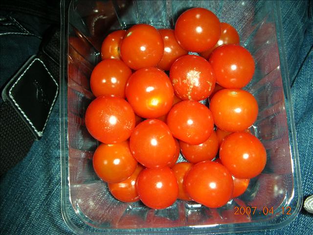 2007紐西蘭,2007紐西蘭南北島,rotoruwa,倫敦,國外旅遊,土耳其,大阪,宜蘭,居酒屋,往Rotoruwa前進,捷克,旅遊,早午餐,板橋,法國,美食,自由行 @跟著Julie一起走吧 2007紐西蘭,2007紐西蘭南北島,rotoruwa,倫敦,國外旅遊,土耳其,大阪,宜蘭,居酒屋,往Rotoruwa前進,捷克,旅遊,早午餐,板橋,法國,美食,自由行 @跟著Julie一起走吧