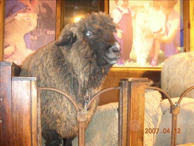 2007紐西蘭,2007紐西蘭南北島,rotoruwa,倫敦,國外旅遊,土耳其,大阪,宜蘭,居酒屋,往Rotoruwa前進,捷克,旅遊,早午餐,板橋,法國,美食,自由行 @跟著Julie一起走吧 2007紐西蘭,2007紐西蘭南北島,rotoruwa,倫敦,國外旅遊,土耳其,大阪,宜蘭,居酒屋,往Rotoruwa前進,捷克,旅遊,早午餐,板橋,法國,美食,自由行 @跟著Julie一起走吧