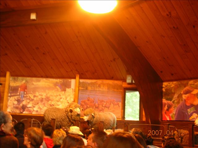 2007紐西蘭,2007紐西蘭南北島,rotoruwa,倫敦,國外旅遊,土耳其,大阪,宜蘭,居酒屋,往Rotoruwa前進,捷克,旅遊,早午餐,板橋,法國,美食,自由行 @跟著Julie一起走吧 2007紐西蘭,2007紐西蘭南北島,rotoruwa,倫敦,國外旅遊,土耳其,大阪,宜蘭,居酒屋,往Rotoruwa前進,捷克,旅遊,早午餐,板橋,法國,美食,自由行 @跟著Julie一起走吧