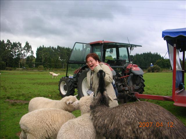 2007紐西蘭,2007紐西蘭南北島,rotoruwa,倫敦,國外旅遊,土耳其,大阪,宜蘭,居酒屋,往Rotoruwa前進,捷克,旅遊,早午餐,板橋,法國,美食,自由行 @跟著Julie一起走吧 2007紐西蘭,2007紐西蘭南北島,rotoruwa,倫敦,國外旅遊,土耳其,大阪,宜蘭,居酒屋,往Rotoruwa前進,捷克,旅遊,早午餐,板橋,法國,美食,自由行 @跟著Julie一起走吧