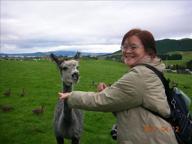 2007紐西蘭,2007紐西蘭南北島,rotoruwa,倫敦,國外旅遊,土耳其,大阪,宜蘭,居酒屋,往Rotoruwa前進,捷克,旅遊,早午餐,板橋,法國,美食,自由行 @跟著Julie一起走吧 2007紐西蘭,2007紐西蘭南北島,rotoruwa,倫敦,國外旅遊,土耳其,大阪,宜蘭,居酒屋,往Rotoruwa前進,捷克,旅遊,早午餐,板橋,法國,美食,自由行 @跟著Julie一起走吧