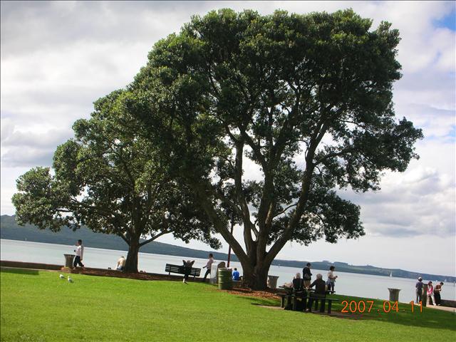 2007紐西蘭,2007紐西蘭南北島,倫敦,國外旅遊,土耳其,大阪,宜蘭,居酒屋,捷克,撘了一天的飛機抵達了奧克蘭,旅遊,早午餐,板橋,法國,美食,自由行 @跟著Julie一起走吧 2007紐西蘭,2007紐西蘭南北島,倫敦,國外旅遊,土耳其,大阪,宜蘭,居酒屋,捷克,撘了一天的飛機抵達了奧克蘭,旅遊,早午餐,板橋,法國,美食,自由行 @跟著Julie一起走吧