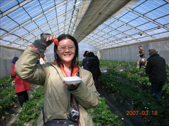 2007.03日本加賀屋,2007日本北陸加賀屋,倫敦,加賀屋,國外旅遊,土耳其,大阪,宜蘭,居酒屋,捷克,旅遊,早午餐,期待已久的採草莓,板橋,法國,美食,自由行 @跟著Julie一起走吧 2007.03日本加賀屋,2007日本北陸加賀屋,倫敦,加賀屋,國外旅遊,土耳其,大阪,宜蘭,居酒屋,捷克,旅遊,早午餐,期待已久的採草莓,板橋,法國,美食,自由行 @跟著Julie一起走吧