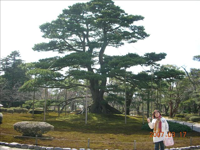 17清晨出發去日本啦,2007.03日本加賀屋,2007日本北陸加賀屋,3,倫敦,國外旅遊,土耳其,大阪,宜蘭,居酒屋,捷克,旅遊,早午餐,板橋,法國,美食,自由行 @跟著Julie一起走吧 17清晨出發去日本啦,2007.03日本加賀屋,2007日本北陸加賀屋,3,倫敦,國外旅遊,土耳其,大阪,宜蘭,居酒屋,捷克,旅遊,早午餐,板橋,法國,美食,自由行 @跟著Julie一起走吧