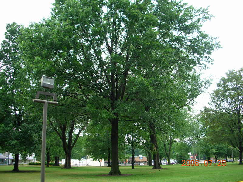 2006美中,倫敦,國外旅遊,土耳其,大阪,宜蘭,居酒屋,捷克,旅遊,早午餐,板橋,法國,美食,自由行,超居家的美國生活 @跟著Julie一起走吧 2006美中,倫敦,國外旅遊,土耳其,大阪,宜蘭,居酒屋,捷克,旅遊,早午餐,板橋,法國,美食,自由行,超居家的美國生活 @跟著Julie一起走吧