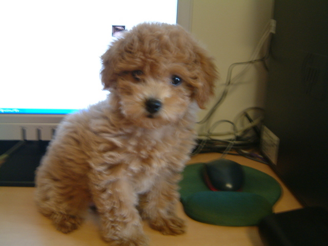 .,倫敦,偏心,土耳其,大阪,妹妹,宜蘭,居酒屋,心情日記,捷克,旅遊,早午餐,板橋,法國,美食,自由行 @跟著Julie一起走吧 .,倫敦,偏心,土耳其,大阪,妹妹,宜蘭,居酒屋,心情日記,捷克,旅遊,早午餐,板橋,法國,美食,自由行 @跟著Julie一起走吧