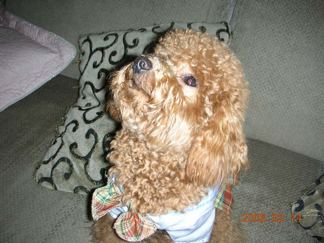 .,Nikon,nikon s2,S2,倫敦,土耳其,大阪,宜蘭,居酒屋,我ㄉ新相機,捷克,數位生活,旅遊,早午餐,板橋,法國,相機,美食,自由行 @跟著Julie一起走吧 .,Nikon,nikon s2,S2,倫敦,土耳其,大阪,宜蘭,居酒屋,我ㄉ新相機,捷克,數位生活,旅遊,早午餐,板橋,法國,相機,美食,自由行 @跟著Julie一起走吧