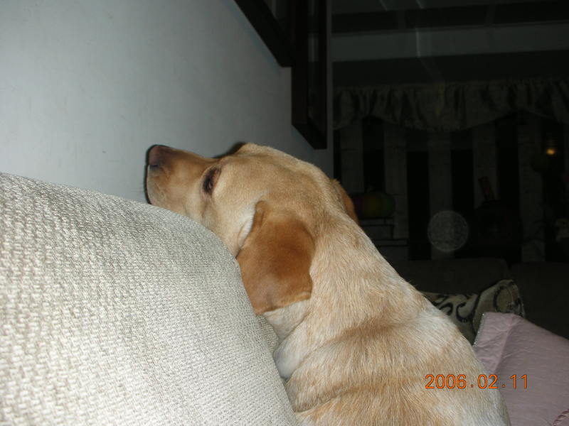 .,Nikon,nikon s2,S2,倫敦,土耳其,大阪,宜蘭,居酒屋,我ㄉ新相機,捷克,數位生活,旅遊,早午餐,板橋,法國,相機,美食,自由行 @跟著Julie一起走吧 .,Nikon,nikon s2,S2,倫敦,土耳其,大阪,宜蘭,居酒屋,我ㄉ新相機,捷克,數位生活,旅遊,早午餐,板橋,法國,相機,美食,自由行 @跟著Julie一起走吧