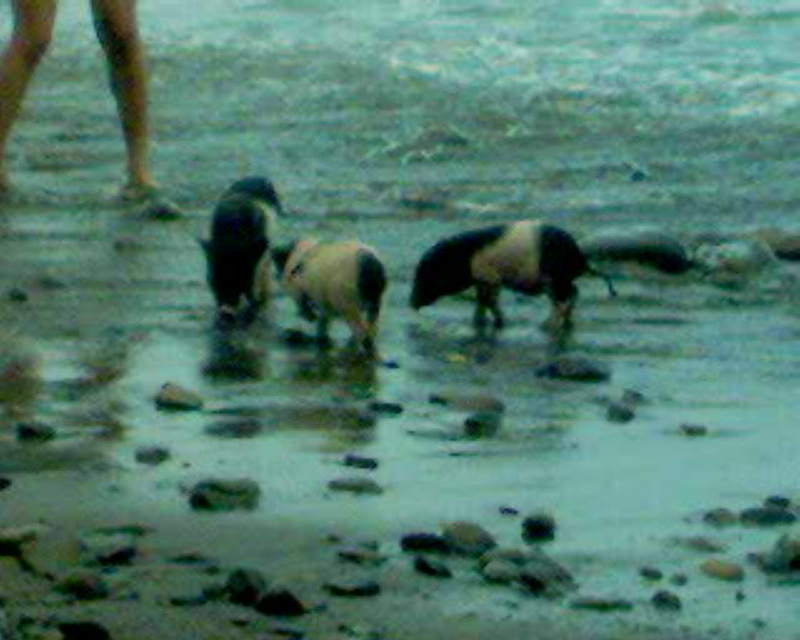 11,2005八月分固定班底聚會,8,七夕情人節,倫敦,國內旅遊,土耳其,大阪,宜蘭,居酒屋,情人ㄉ關卡,捷克,旅遊,早午餐,東部,板橋,法國,美食,自由行 @跟著Julie一起走吧 11,2005八月分固定班底聚會,8,七夕情人節,倫敦,國內旅遊,土耳其,大阪,宜蘭,居酒屋,情人ㄉ關卡,捷克,旅遊,早午餐,東部,板橋,法國,美食,自由行 @跟著Julie一起走吧