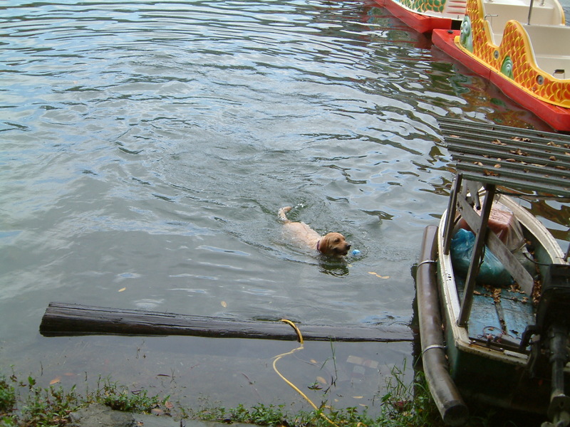 2005環島之旅,7,倫敦,國內旅遊,土耳其,大阪,宜蘭,居酒屋,捷克,旅遊,早午餐,板橋,法國,環島,美食,自由行,邊吃邊玩到花蓮 @跟著Julie一起走吧 2005環島之旅,7,倫敦,國內旅遊,土耳其,大阪,宜蘭,居酒屋,捷克,旅遊,早午餐,板橋,法國,環島,美食,自由行,邊吃邊玩到花蓮 @跟著Julie一起走吧