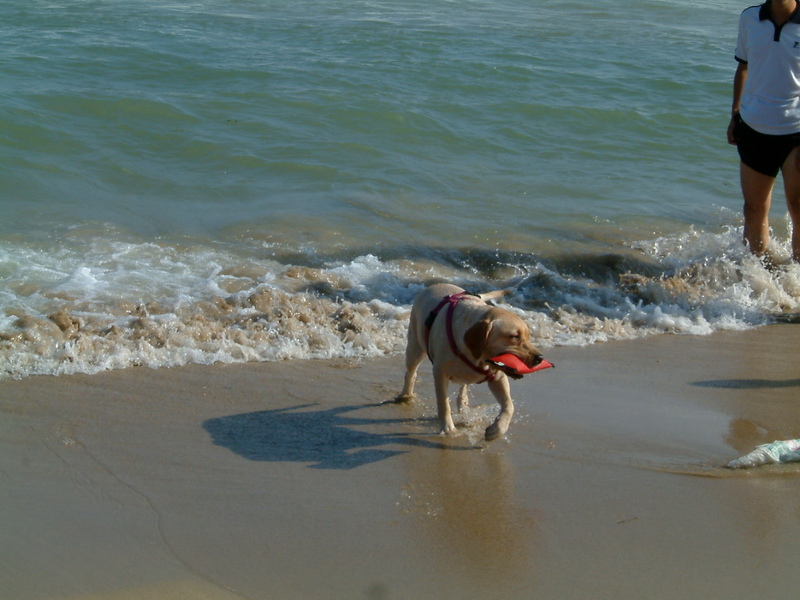2005環島之旅,5,7,倫敦,國內旅遊,土耳其,墾丁,大阪,宜蘭,居酒屋,捷克,旅遊,早午餐,板橋,沙灘,法國,海,環島,美食,自由行,陽光 @跟著Julie一起走吧 2005環島之旅,5,7,倫敦,國內旅遊,土耳其,墾丁,大阪,宜蘭,居酒屋,捷克,旅遊,早午餐,板橋,沙灘,法國,海,環島,美食,自由行,陽光 @跟著Julie一起走吧